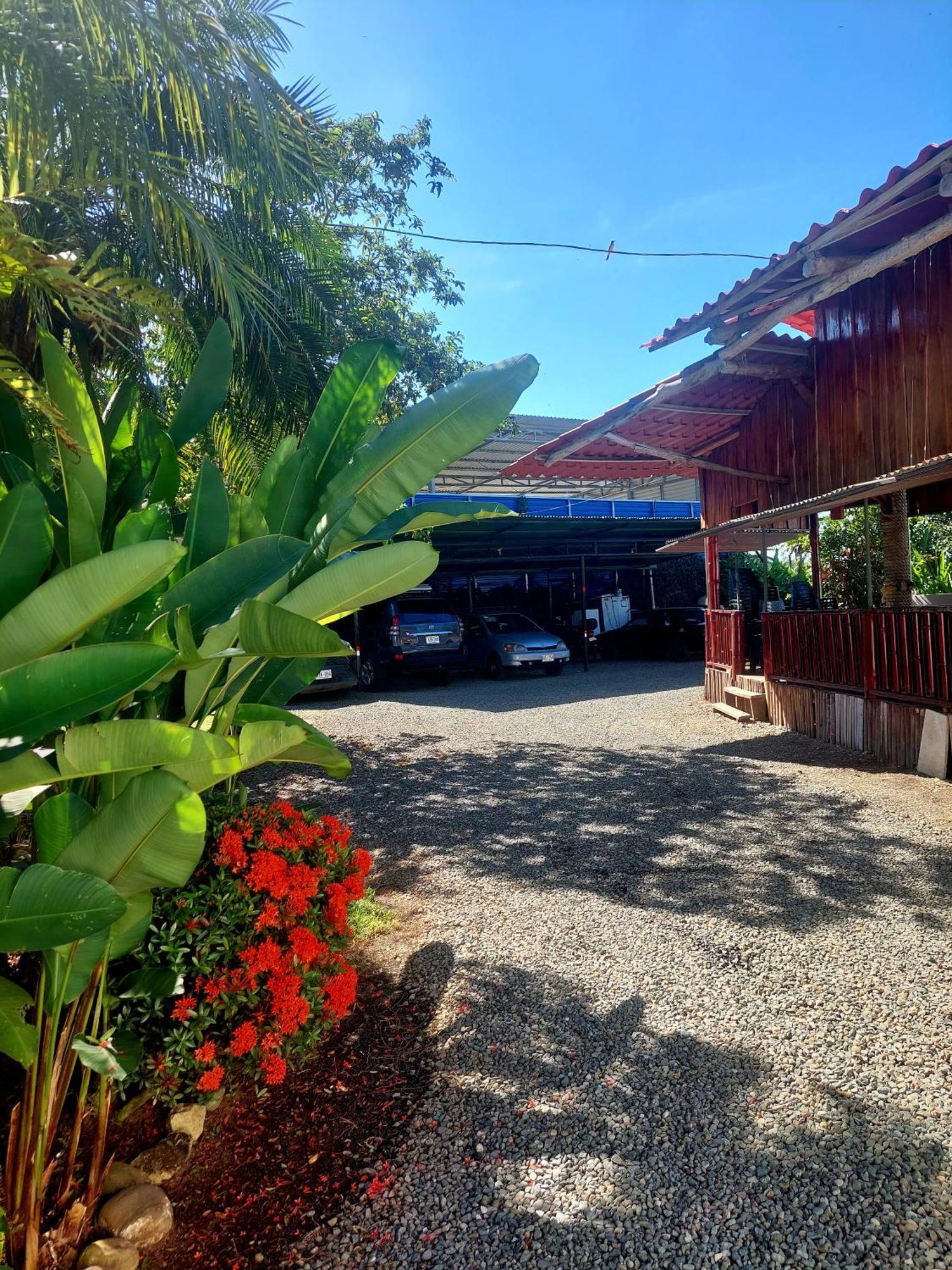 Hospedaje Quepos Bagian luar foto